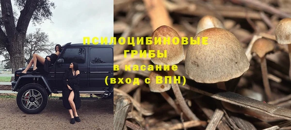спайс Алексин