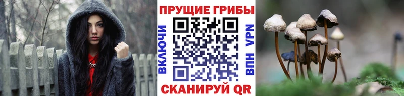 Псилоцибиновые грибы Magic Shrooms  Тавда 